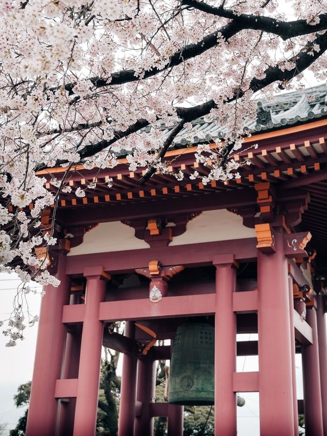 Ikegami Honmon-ji temple, Tokyo 🇯🇵