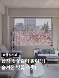 합정 벚꽃길이 내려다보이는 숨겨진 카페
