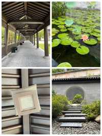 慈山寺｜非常值得去的心靈淨土