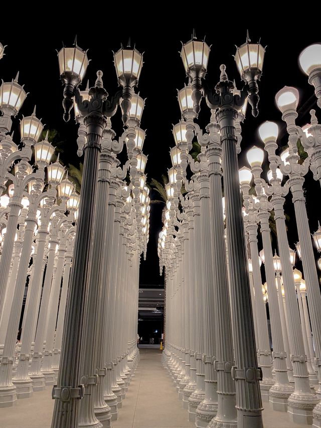 미국에서 유럽갬성나는 찐 핫플인 lacma🤍🖤