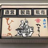 伊豆急行終點站👍🏻鄉村半日遊❤️伊豆半島美景😍😍下田市