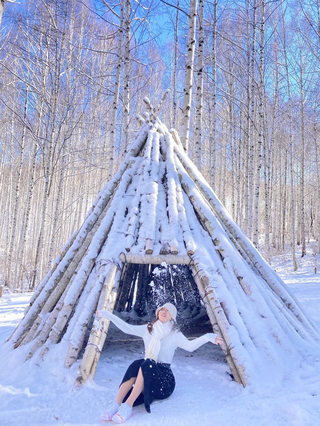 ❄️한국의 겨울왕국❄️ 인제 자작나무숲