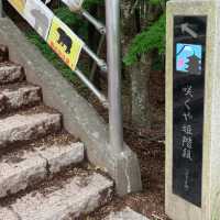 ［日本富士山］ 拍攝必到地 ｜日式風格