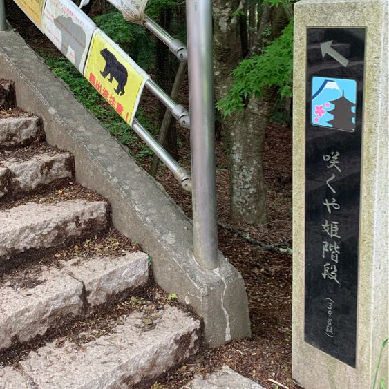 ［日本富士山］ 拍攝必到地 ｜日式風格