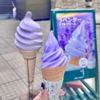 北海道必去打卡景點💜🪻富田農場