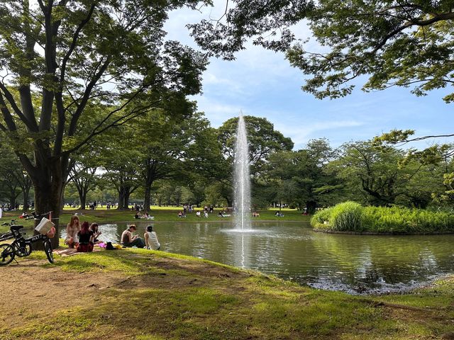 東京放電好去處