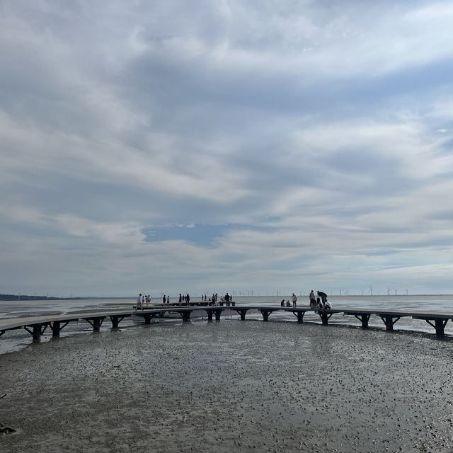 香山濕地浪漫海岸線 看招潮蟹 享受夕陽 騎腳踏車慢活