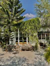 The creeper House • คาเฟ่ในสวน มุมถ่ายรูปสวยไม่ซ้ำ