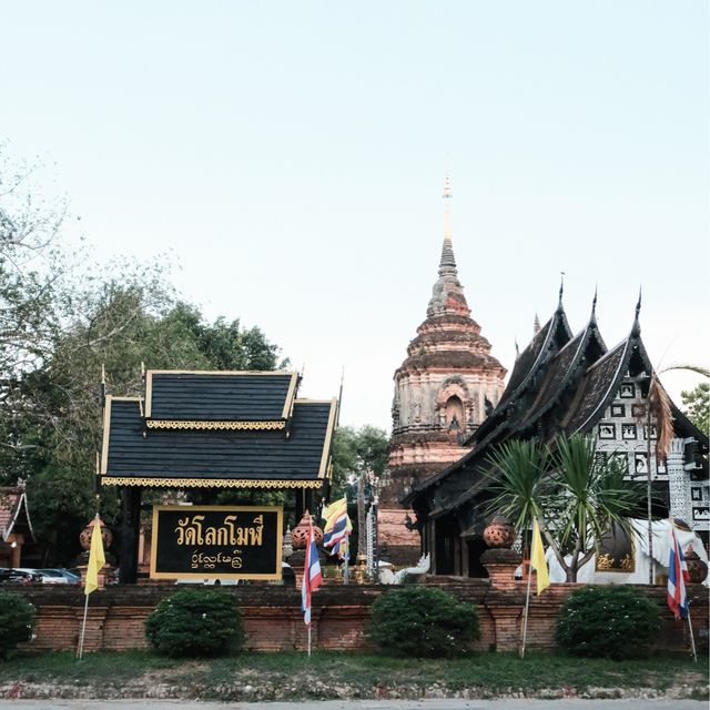 วัดโลกโมฬี