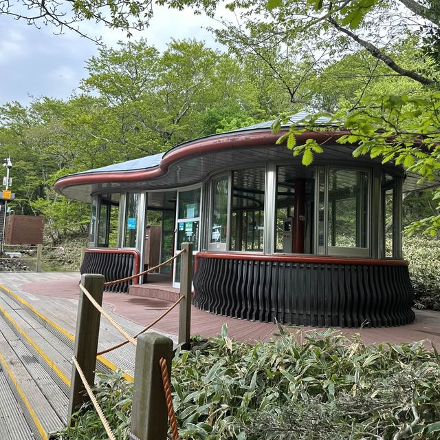 다양한 식생식물과 동물을 만날 수 있는 ⛰️ 한라산 성판악 코스