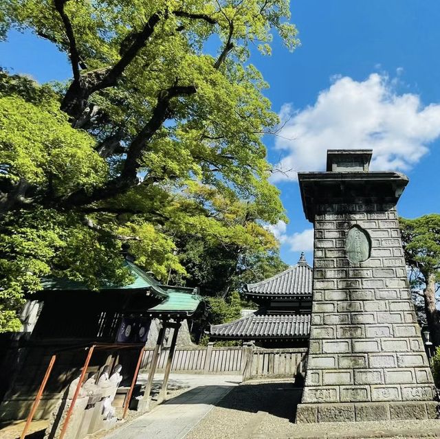 追尋自然與寧靜！成田山公園🌳🏞️🌸