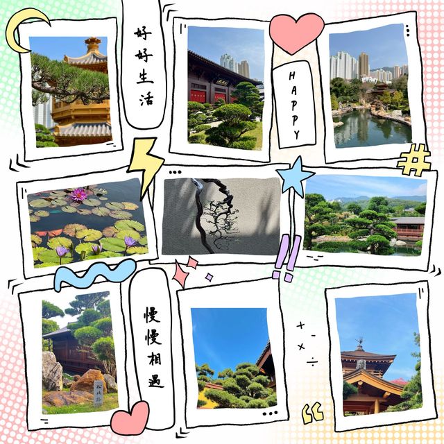 身臨其境的禪意寧靜 🏞️🧘‍♀️ 南蓮園池