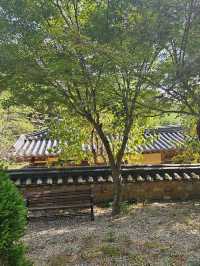 세계유네스코문화유산에 등재된 경주 양동마을에서 옛정취 가득🫶