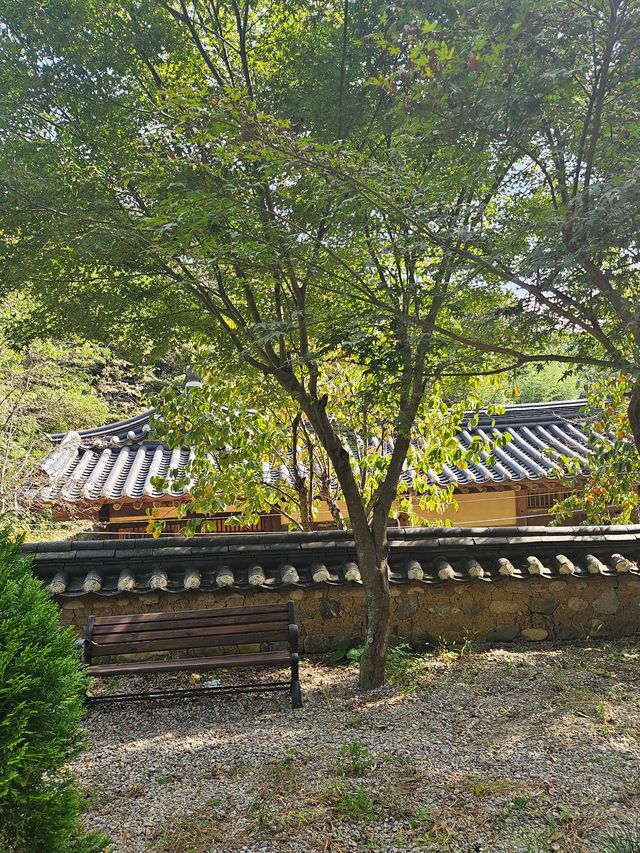 세계유네스코문화유산에 등재된 경주 양동마을에서 옛정취 가득🫶
