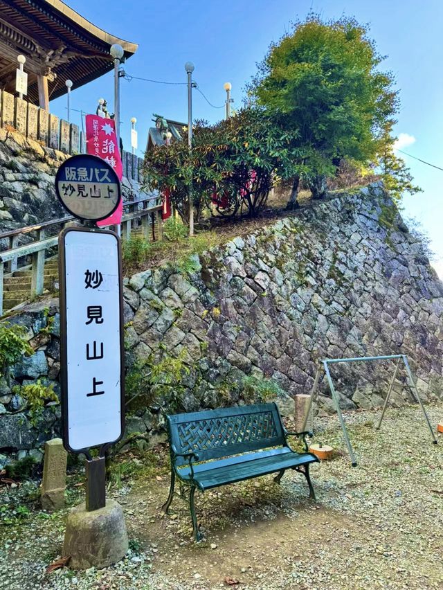 征服高山🏔️🌄🌳 能勢妙見山