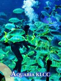 An amazing Aquaria KLCC exploration! 🐡🐟🐠🦈