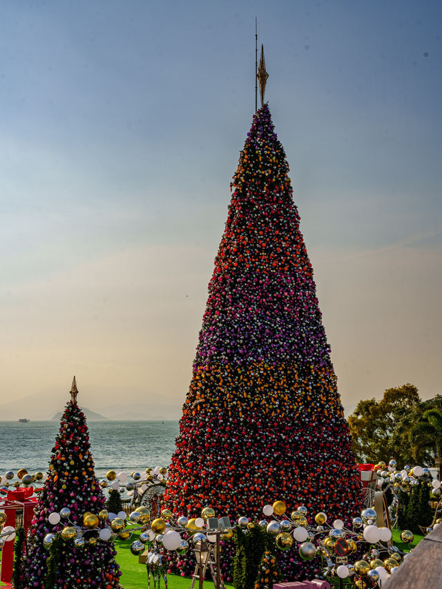 ❄️香港聖誕好去處｜巨型聖誕樹再次回歸🎄