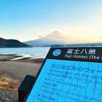 2023河口湖紅葉一個人旅行