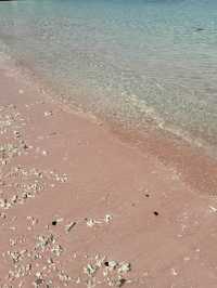 ย้อนเวลาไปอินโดเดือนธันวา : Pink Beach