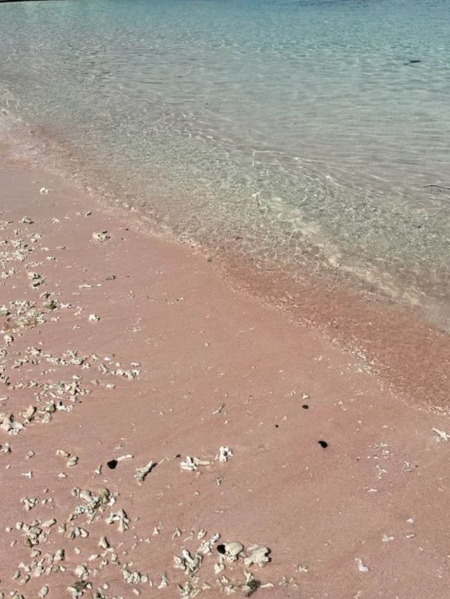 ย้อนเวลาไปอินโดเดือนธันวา : Pink Beach