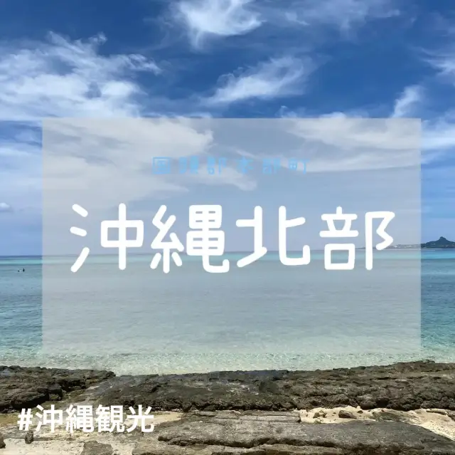 沖縄北部　備瀬フクギ並木