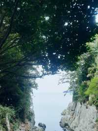 동백섬 오동도 💐