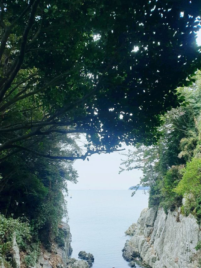 동백섬 오동도 💐