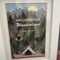 Hagabrekka Wanderland Yoga Retreat 🧘 
