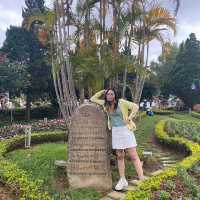 สวนดอกไม้เมืองหนาว ดาลัด (Dalat Flower Park)