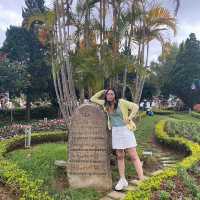 สวนดอกไม้เมืองหนาว ดาลัด (Dalat Flower Park)