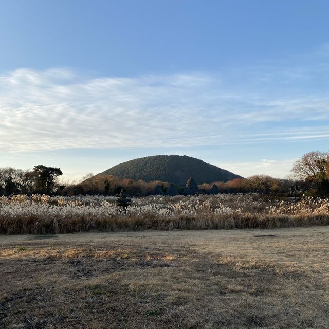 비밀의 숲은 노을질 때 가야 예쁘다