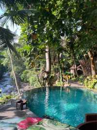 숲속의 인피니티 풀 전세내기 발리 Dtukad River Club