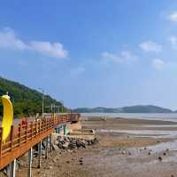 인스타 감성 말고, 자연 감성은 어때요🌊 바람,꽃 언덕