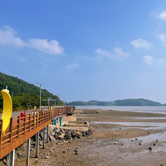 인스타 감성 말고, 자연 감성은 어때요🌊 바람,꽃 언덕