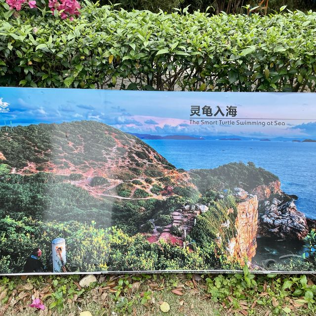 🧜🏻‍♀️尋找美人魚洞🧜🏻@深圳楊梅坑鹿嘴山莊