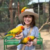 3โซนห้ามพลาด เมื่อมาเที่ยวซาฟารีเวิลด์!