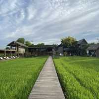 ค่าเฟ่วิวทุ่งนา @Kanchanaburi