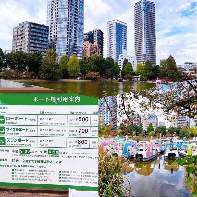 Fun Swan Paddleboats at Shinobazu Pond