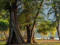 หาดในยาง จ.ภูเก็ต หลากหลายบรรยากกาศริมเล