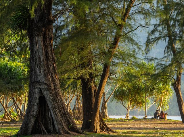 หาดในยาง จ.ภูเก็ต หลากหลายบรรยากกาศริมเล
