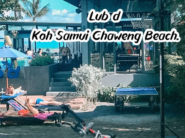 • Lub D Koh Samui Chaweng Beach 🏝️