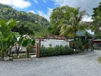 • ภูบรรทัด วัลเล่ย์ รีสอร์ท สตูล 🏕️🌿