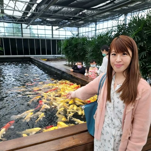 礁溪金車蘭花公園｜與動植物近距離親近🧡慵懶水豚君、愛抓癢大嘴鳥