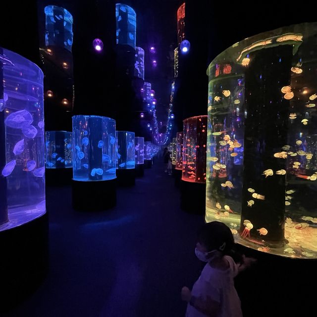 海洋主題兒童樂園🎉！欣賞水族館