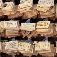 Beautiful shrine in bustling Tokyo 