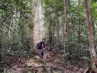 Day adventure to gunung ledang