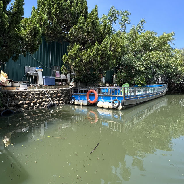 台南四草綠隧道