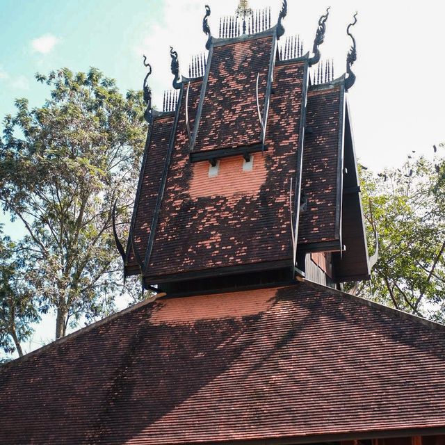 พิพิธภัณฑ์บ้านดำ (Baan Dam Museum)