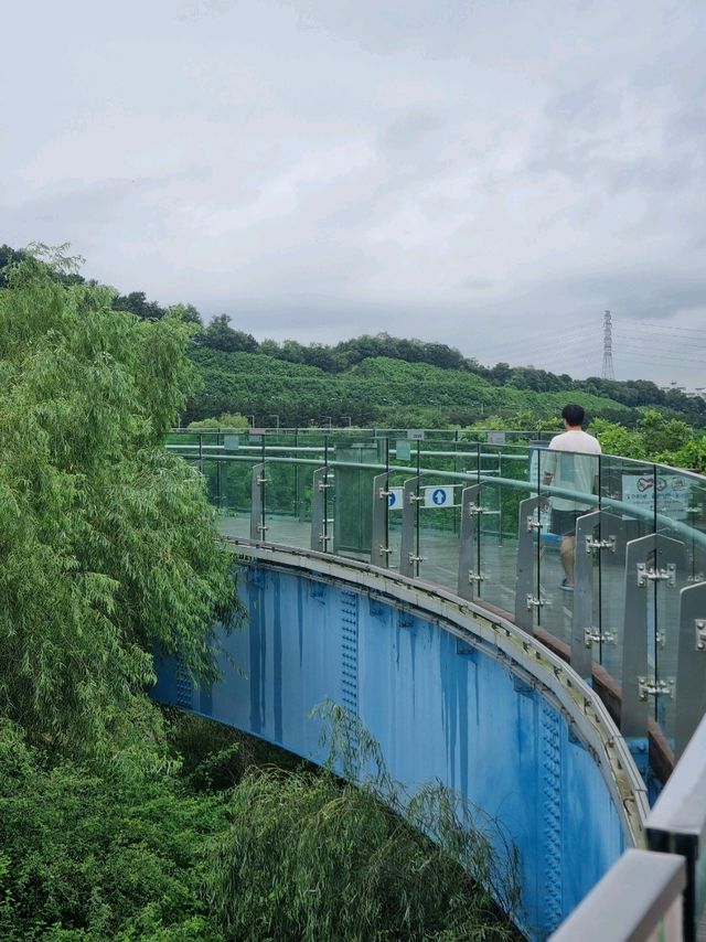 공중에 떠있는 아라전망대