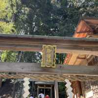 【京都府】日本でここだけ！髪を護る御髪神社へ